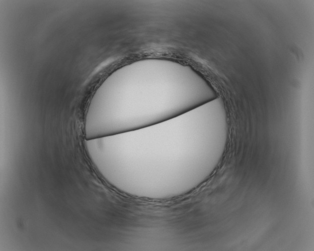 X0000114161206200910081126