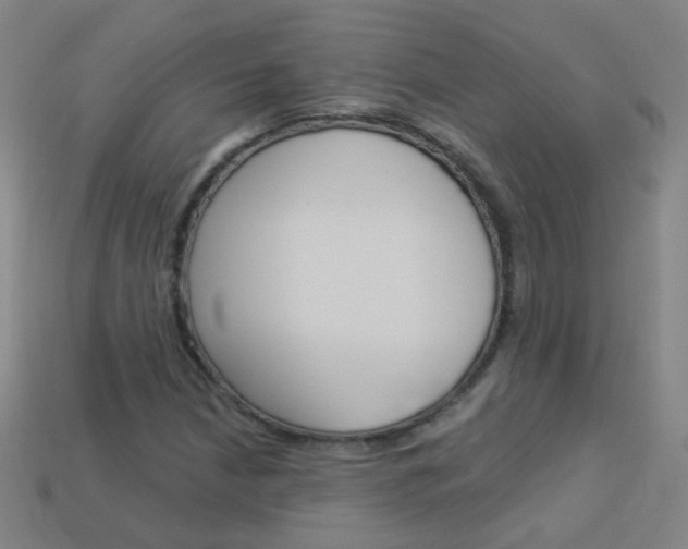 X0000114161210200910081126