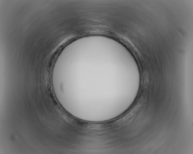 X0000114161211200910081126