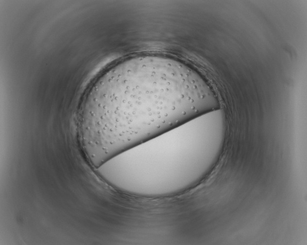 X0000114161212200910081126