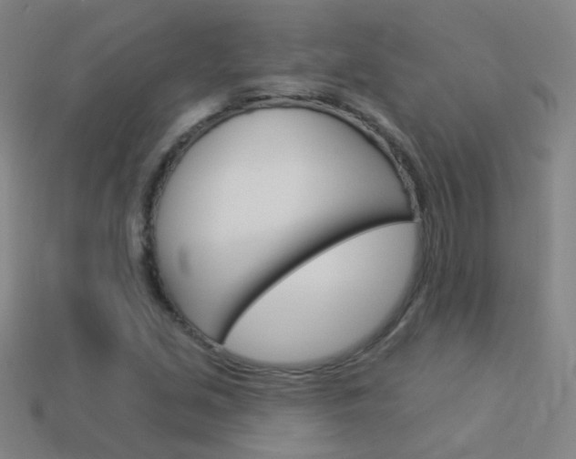 X0000114161213200910081126