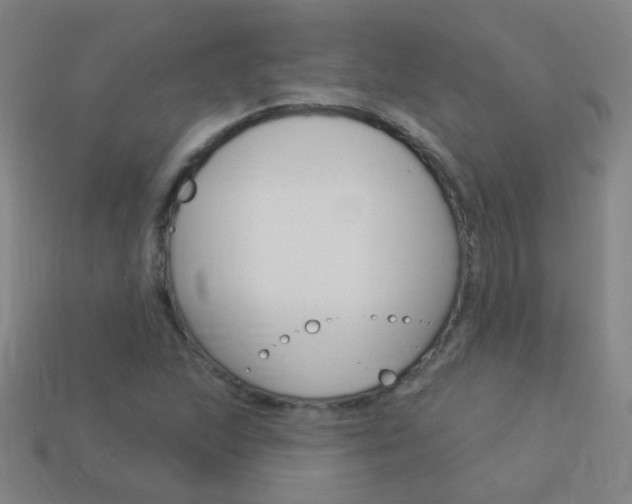X0000114161215200910081126