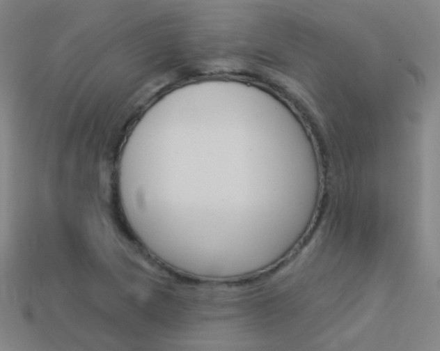 X0000114161217200910081126