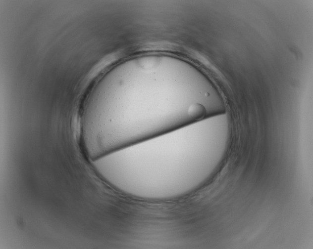 X0000114161221200910081126