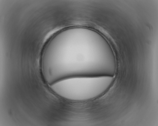 X0000114161222200910081126
