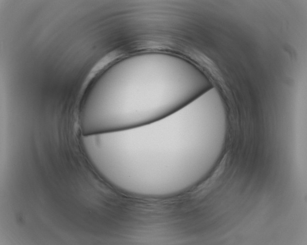 X0000114161226200910081127