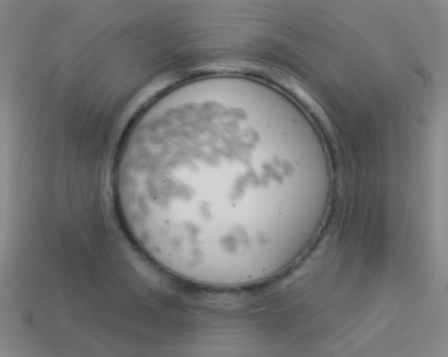 X0000114161229200910081127