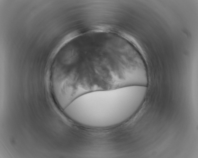 X0000114161235200910081127