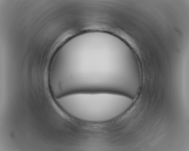 X0000114161237200910081127