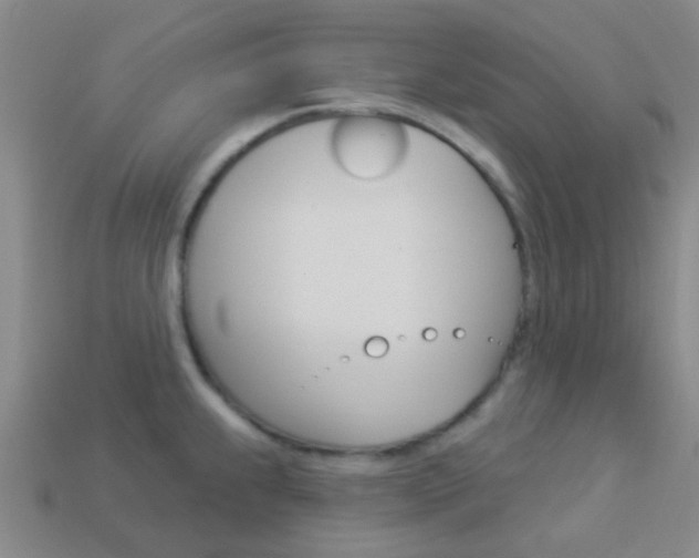X0000114161239200910081127