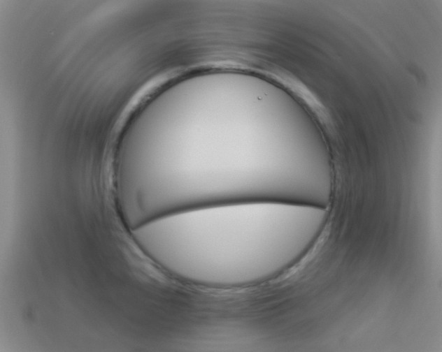 X0000114161240200910081127