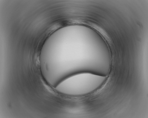 X0000114161241200910081127
