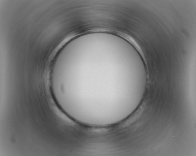X0000114161243200910081127