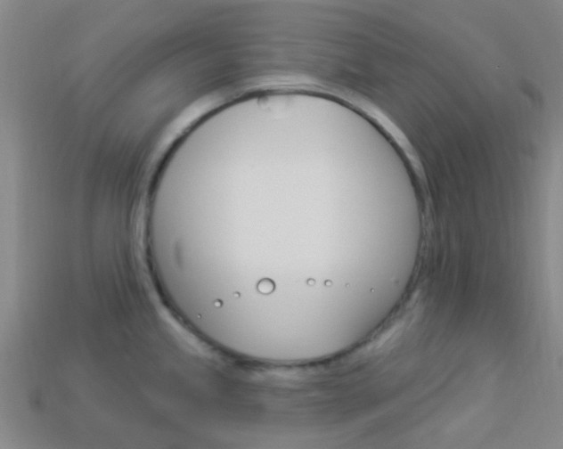 X0000114161245200910081127