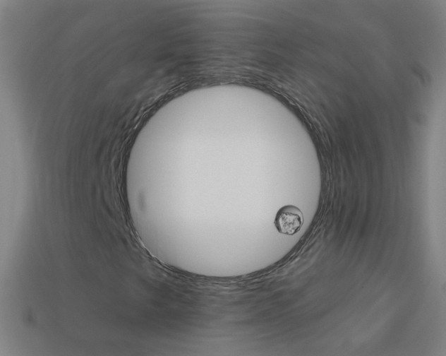 X0000114161249200910081126
