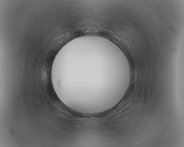 X0000114161250200910081126