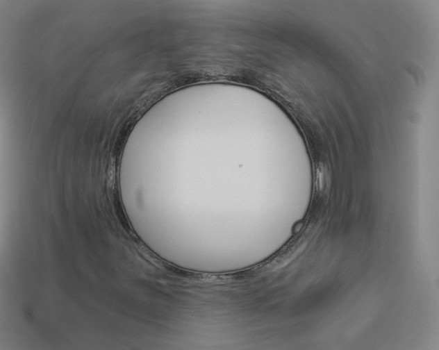 X0000114161251200910081126