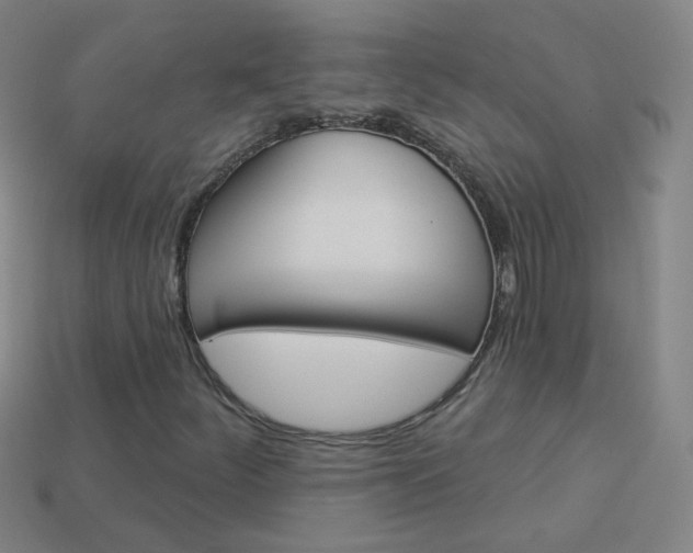 X0000114161252200910081126