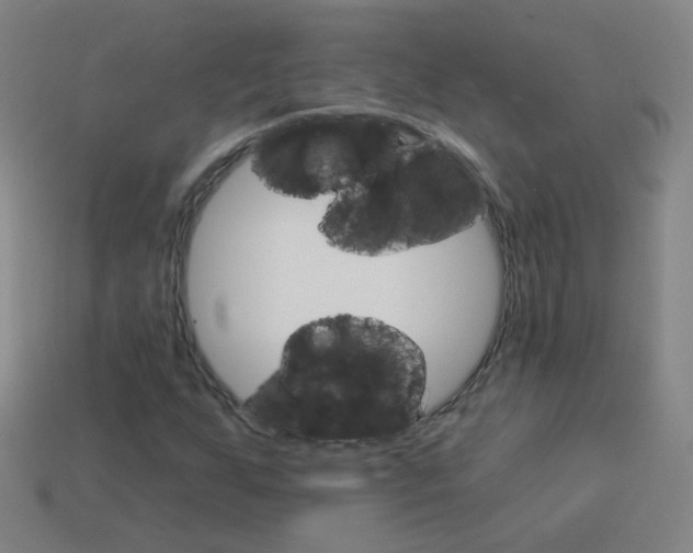 X0000114161255200910081126