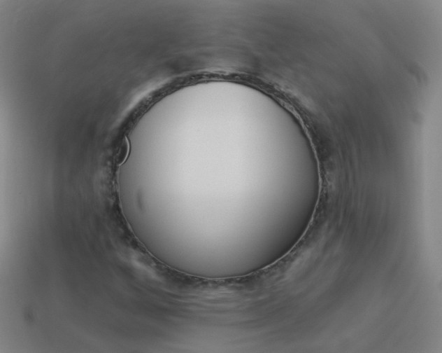 X0000114161256200910081126