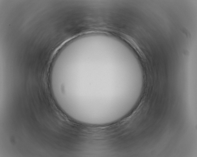 X0000114161260200910081126