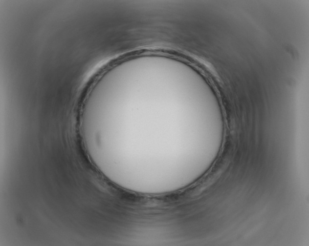 X0000114161263200910081126