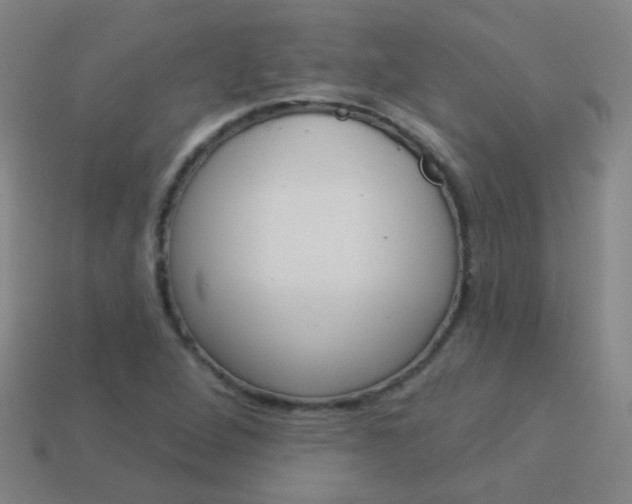 X0000114161264200910081126