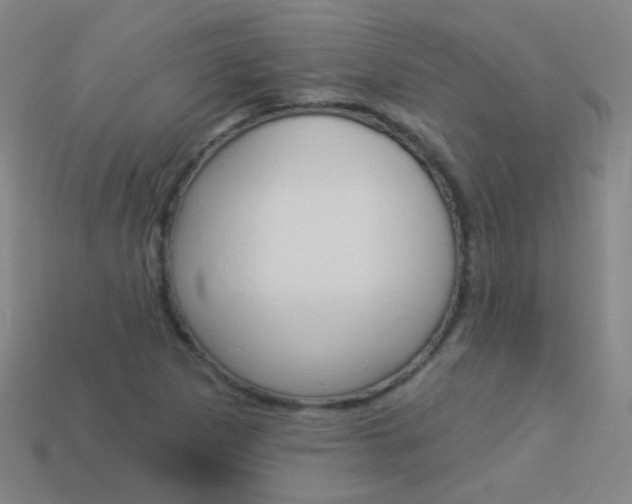 X0000114161265200910081126