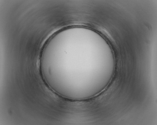 X0000114161268200910081126