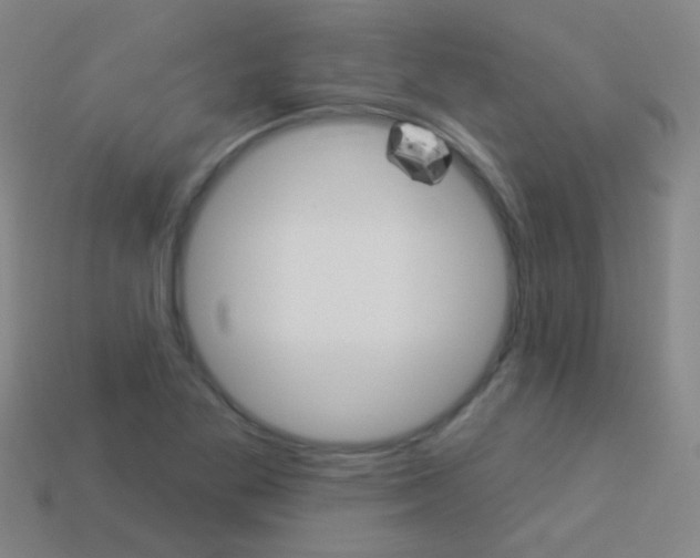 X0000114161269200910081126