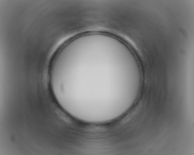 X0000114161270200910081126