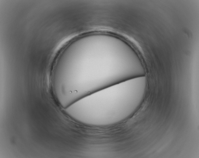 X0000114161271200910081126