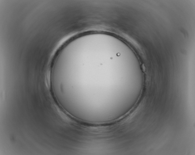 X0000114161272200910081126