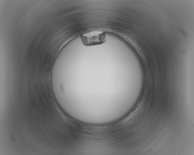X0000114161273200910081126