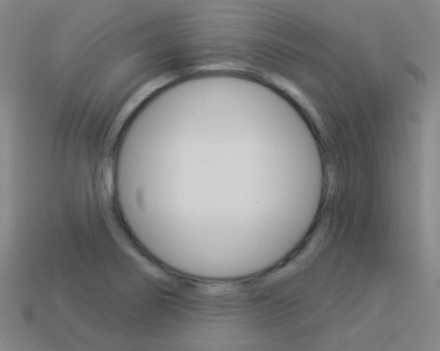 X0000114161274200910081126