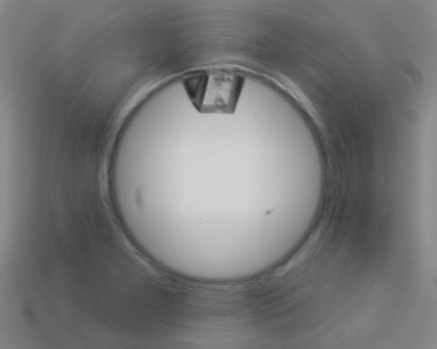 X0000114161277200910081126