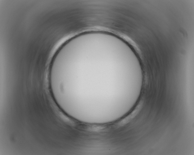 X0000114161278200910081126