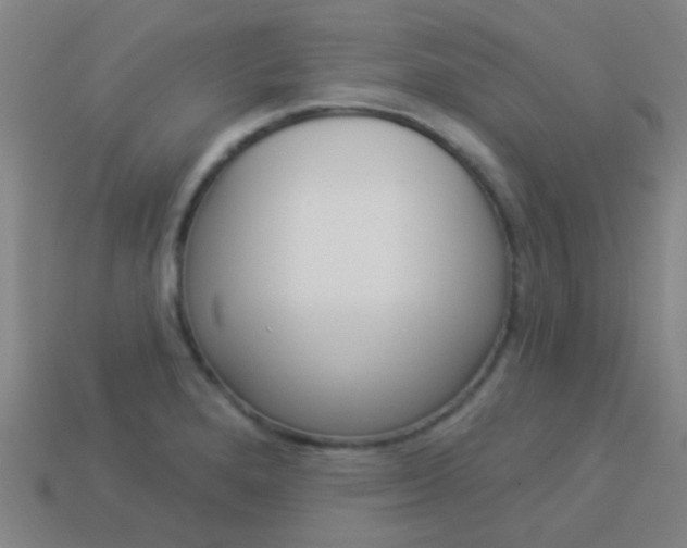 X0000114161280200910081126