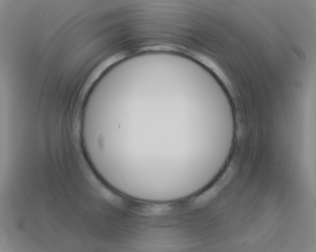 X0000114161282200910081126