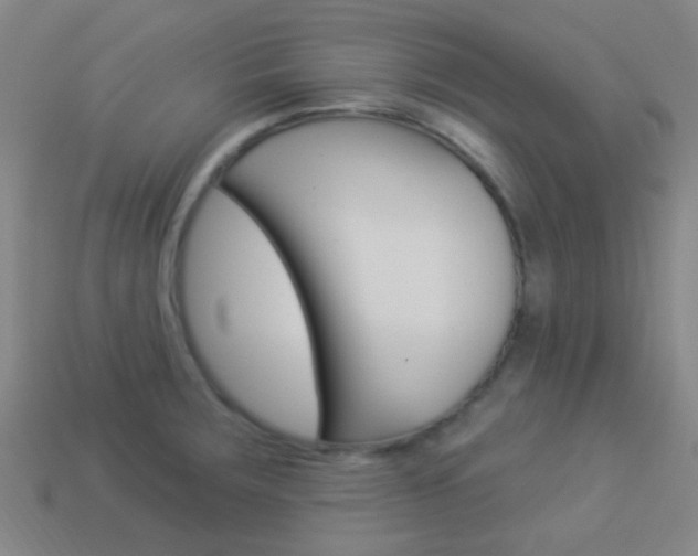 X0000114161283200910081126