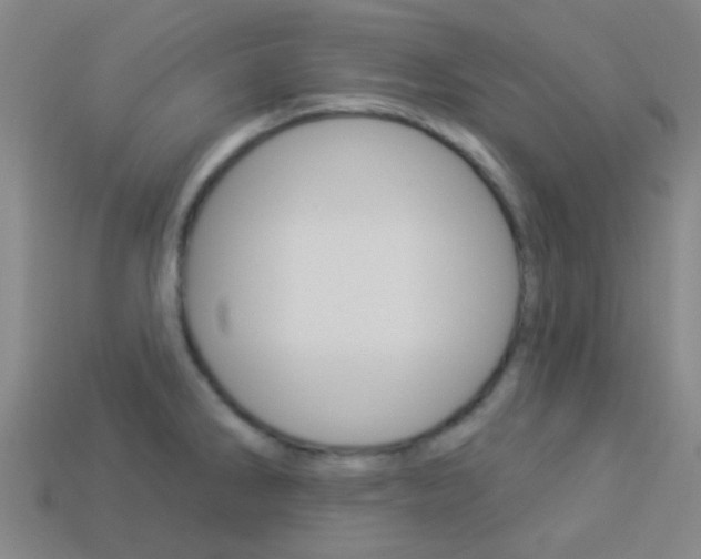 X0000114161286200910081126