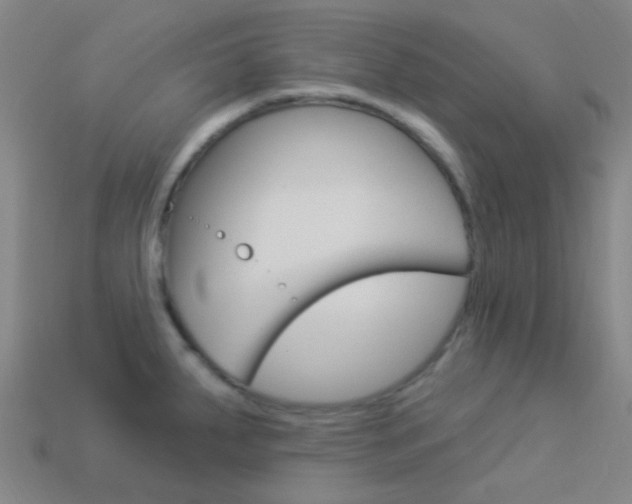 X0000114161287200910081126