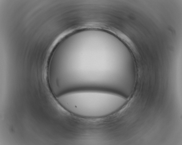 X0000114161288200910081126