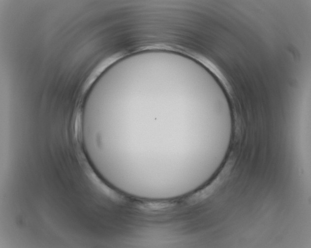 X0000114161290200910081126