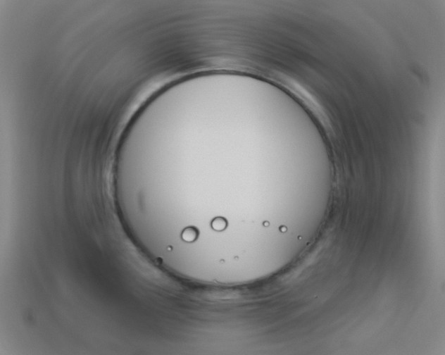 X0000114161291200910081126