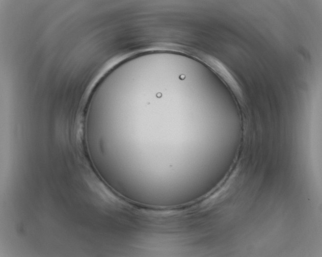 X0000114161292200910081126