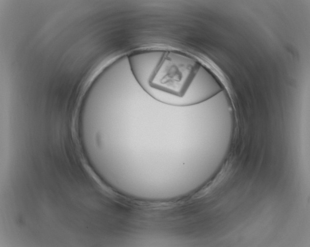 X0000114161293200910081126