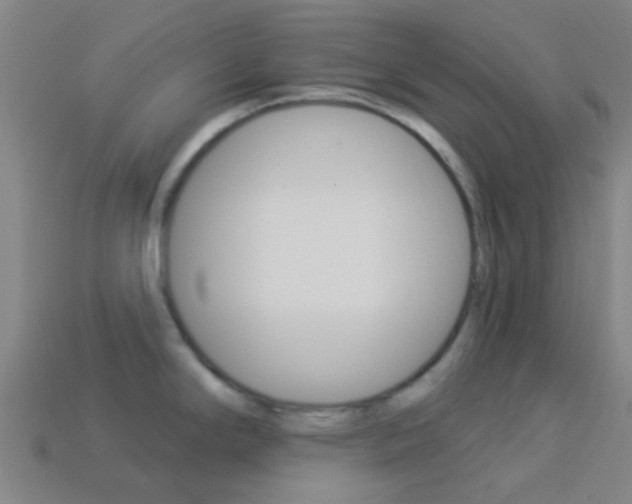 X0000114161294200910081126