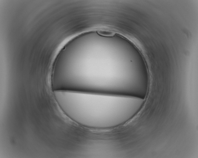 X0000114161296200910081126