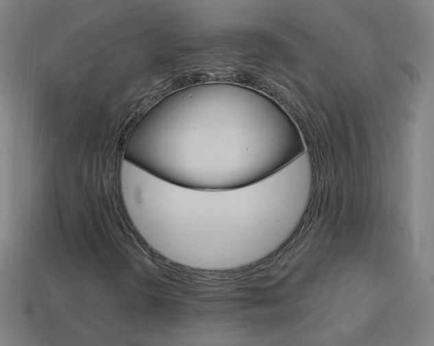 X0000114161298200910081125